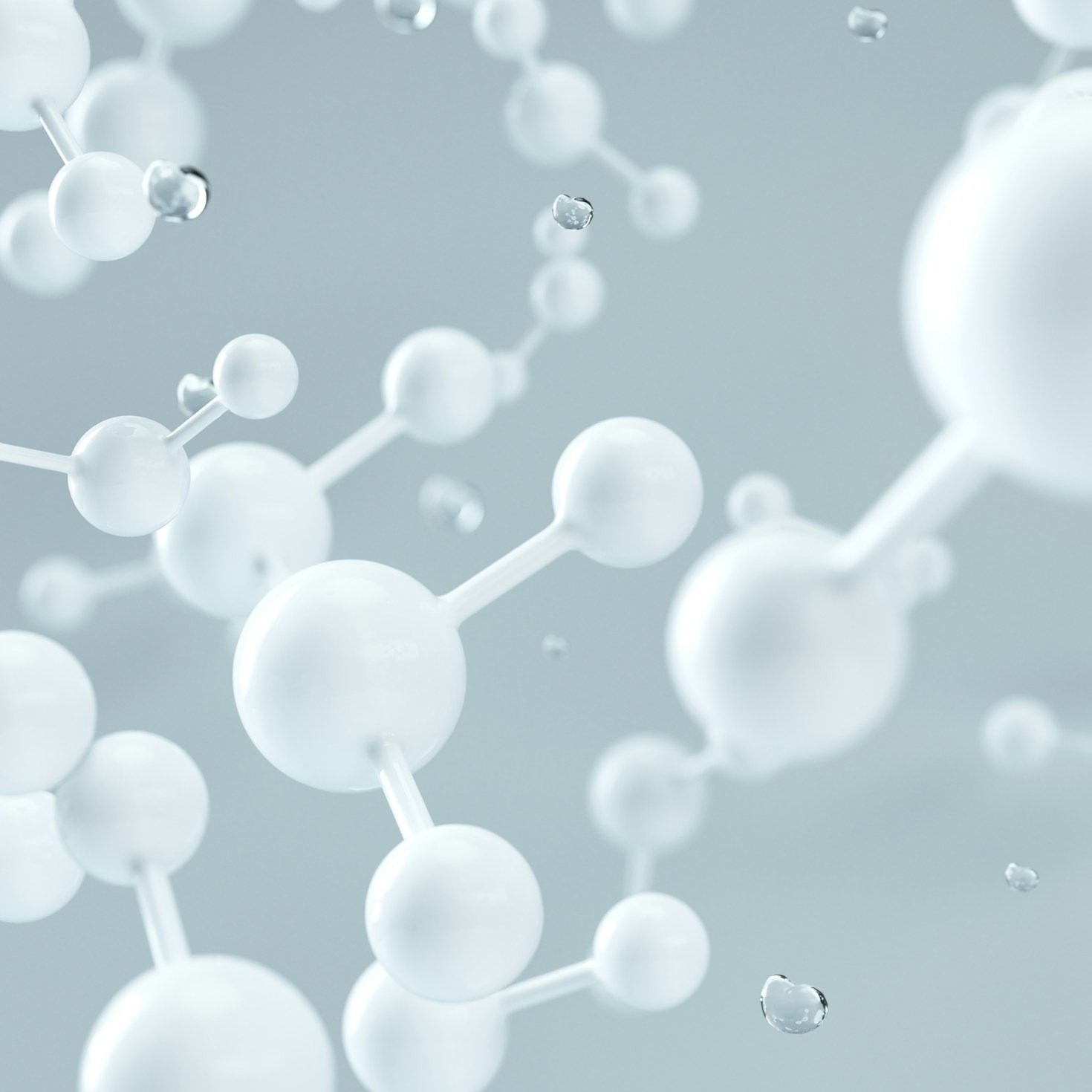 Biostimulanten: wat zijn ze en hoe werken ze?