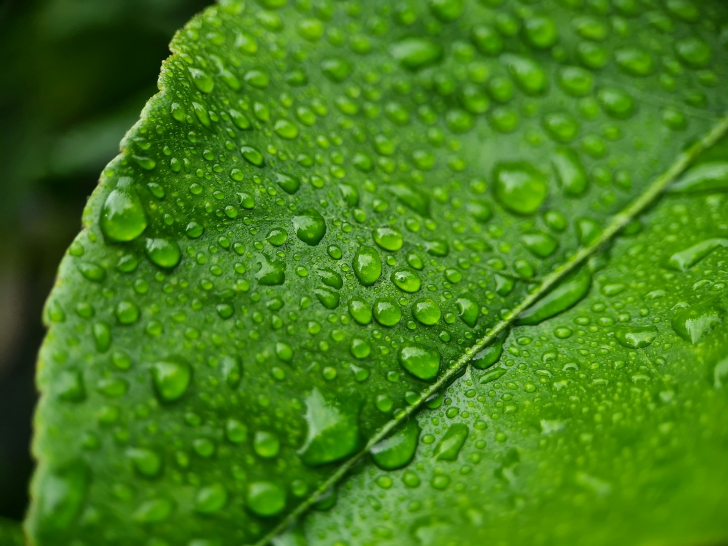 Samenwerken voor groene technologieën